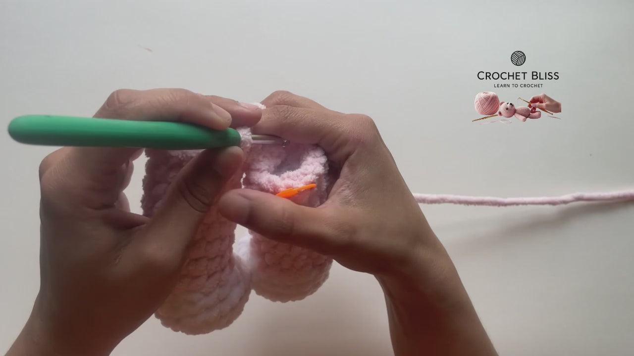 Complete Beginner's Guide